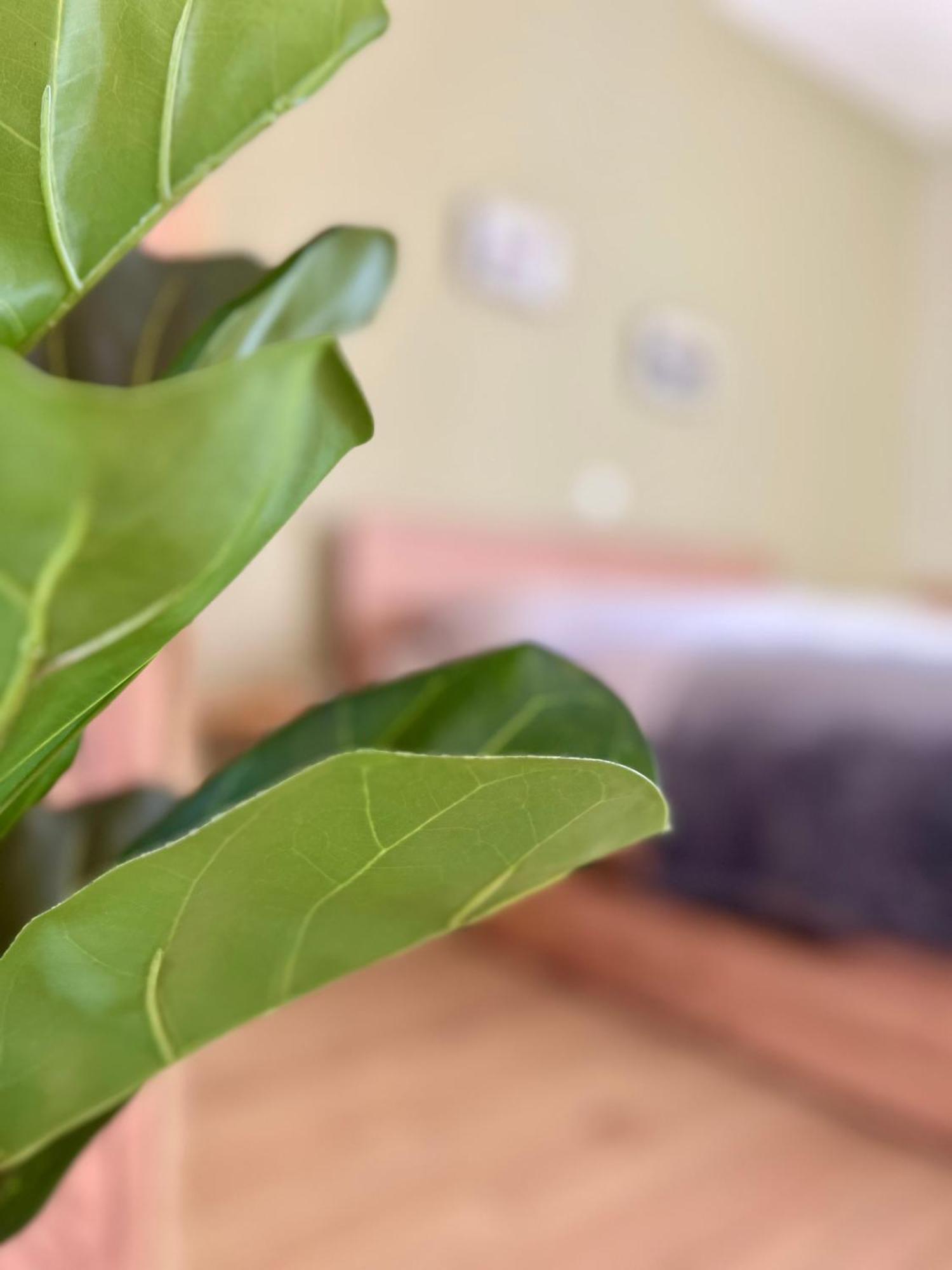 Edessa Woodland Retreat Apartment Luaran gambar